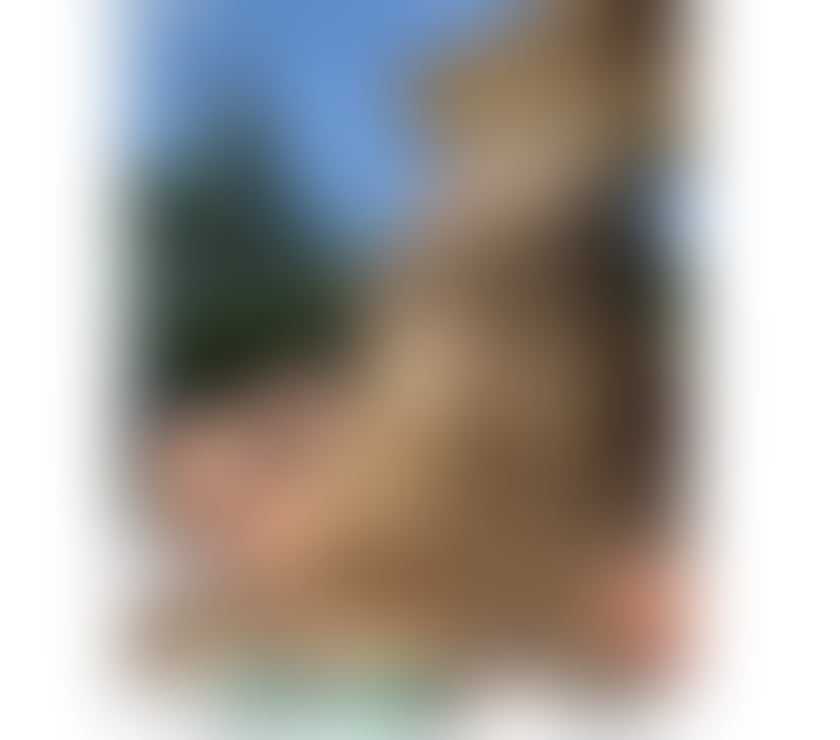 Escorts Lancashire Preston - Photos for ALICE BRAZILIAN GIRL IN TOWN ❤️. PARTY GIRL 🥂