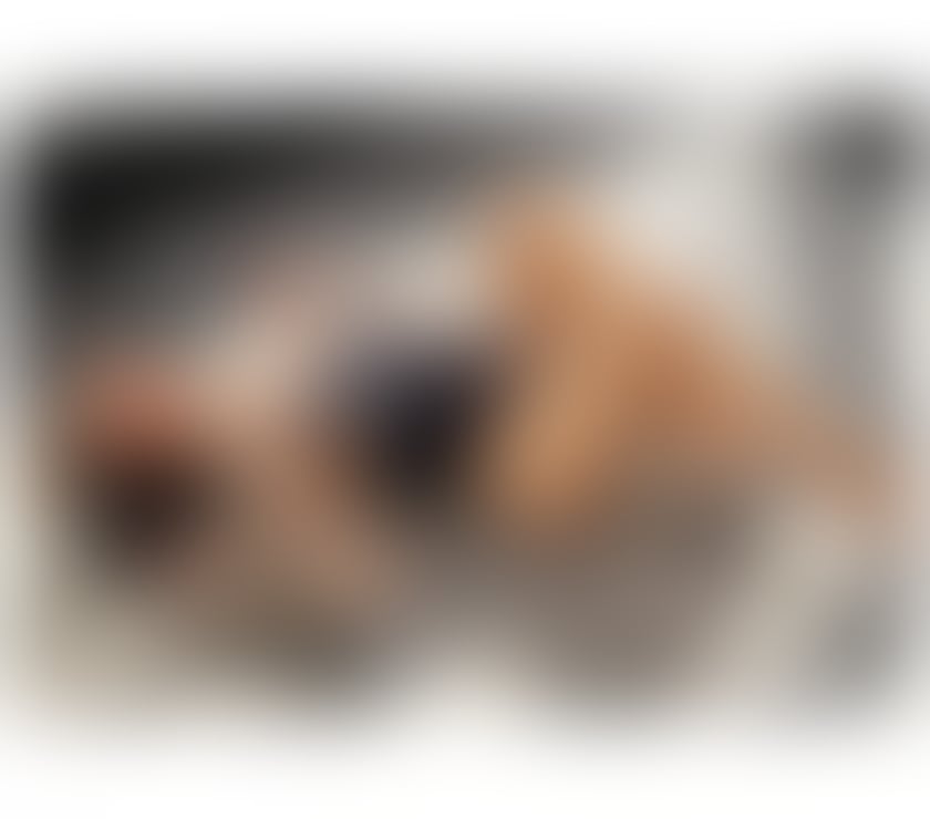 Escorts and Massages Reading Town Centre Reading - Photos for VIP Escort Girl - Relaxing and Tantric Massage