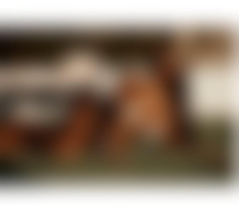 Escorts South Yorkshire Doncaster - Photos for Black British Ebony small waist big bumper hot 🔥 party