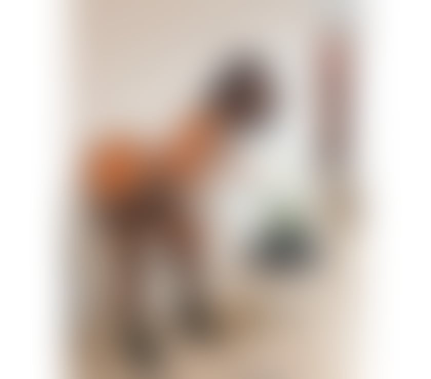 Escorts Essex Brentwood - Photos for LARA BRAZILIAN 🔥 AMAZING BODY 😍