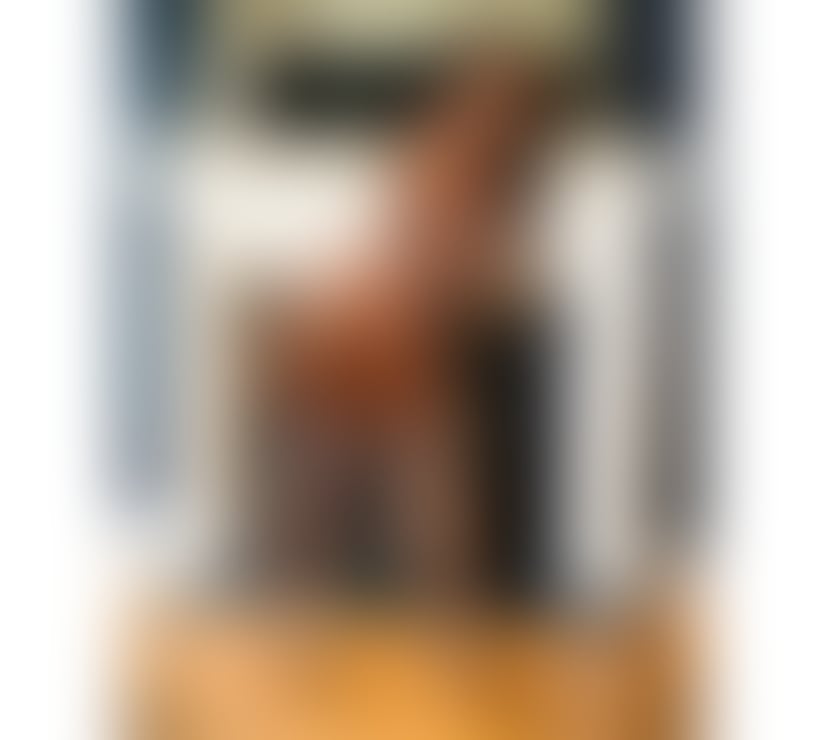 Escorts Bedfordshire Central Bedfordshire - Photos for 🔝HOTTEST LUNA🇧🇷 100%REAL🔥 ☎️PARTY GIRL