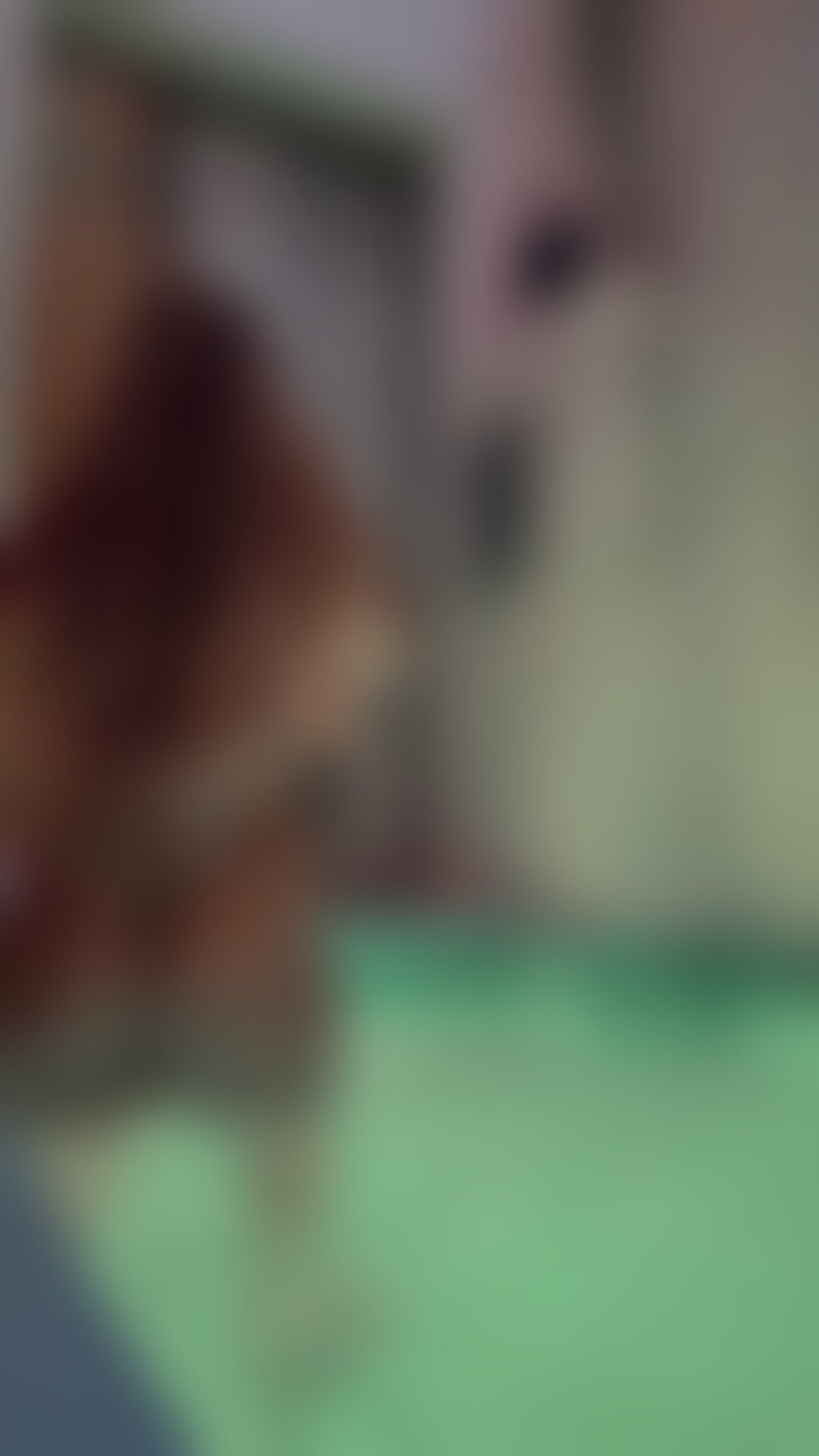 Escorts Bedfordshire Central Bedfordshire - 