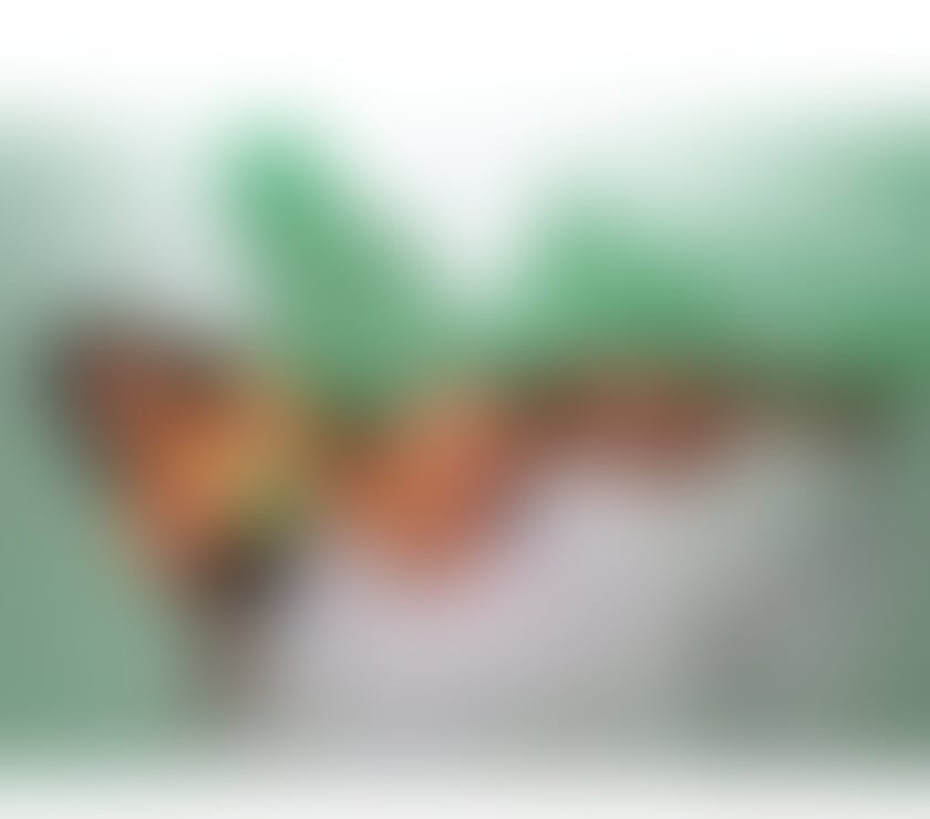 Escorts West Midlands Birmingham - Photos for ✨ ISA ✨ IM BACK X ❤️