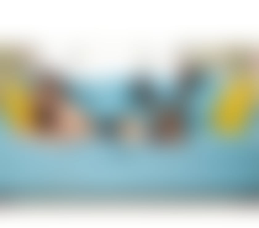 Cara Thai Ts Ladyboy🍆