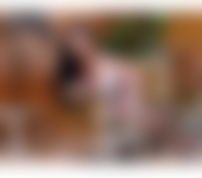 Trans Escorts East London Hackney Central - East London - Photos for Grazyellen 🔥 Top 🍆 Bottom 🍑