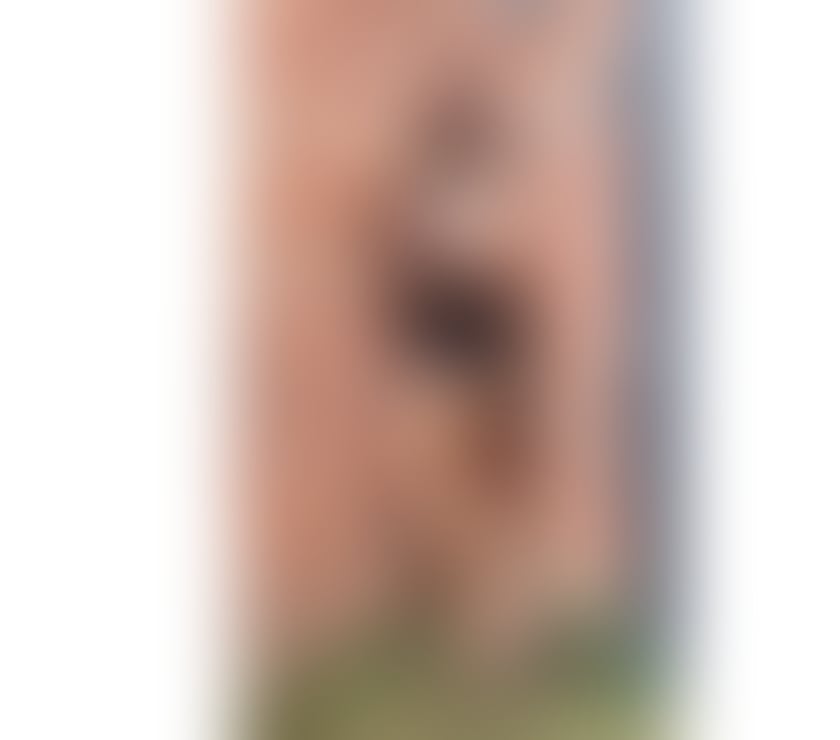 Escorts West Midlands Solihull - Photos for ❤️‍🔥Hot Sunee Thai massage 💯Sexy Cuties 😘