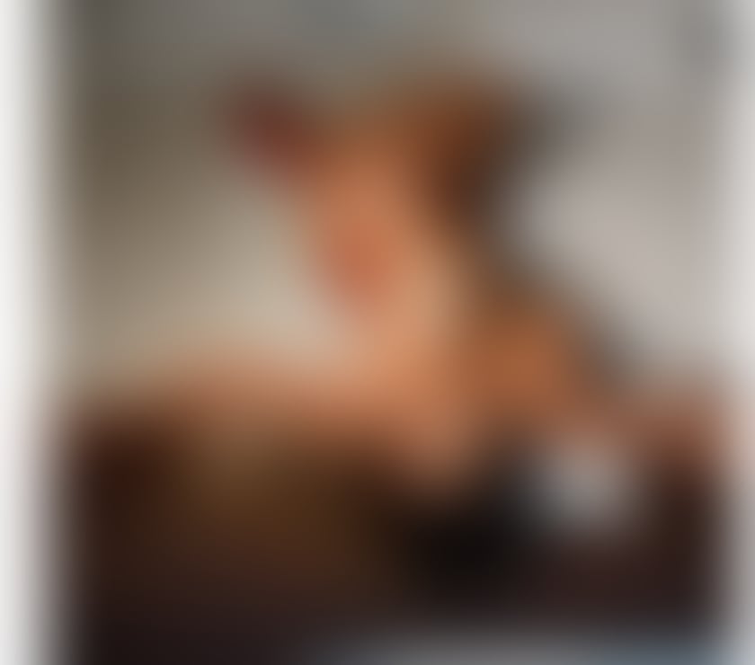 Escorts North London Enfield - Photos for HOT Bella Brazilian party girl