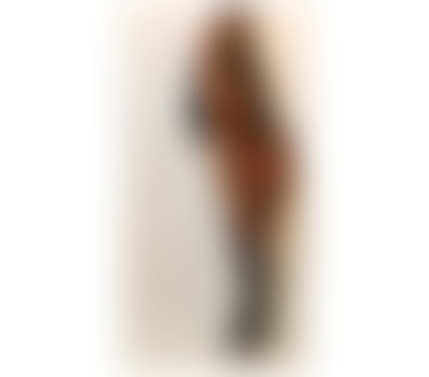 Escorts South Yorkshire Sheffield - Photos for Bruna fragrant Brazilian brunette🥰