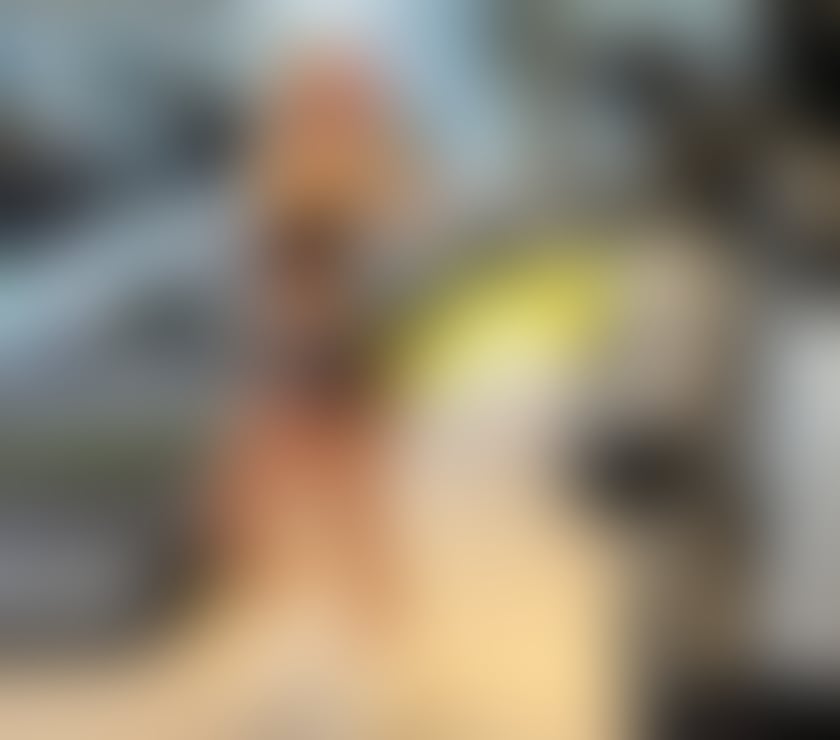 Escorts East Sussex Brighton - Photos for Carol Portudo Actress brasil