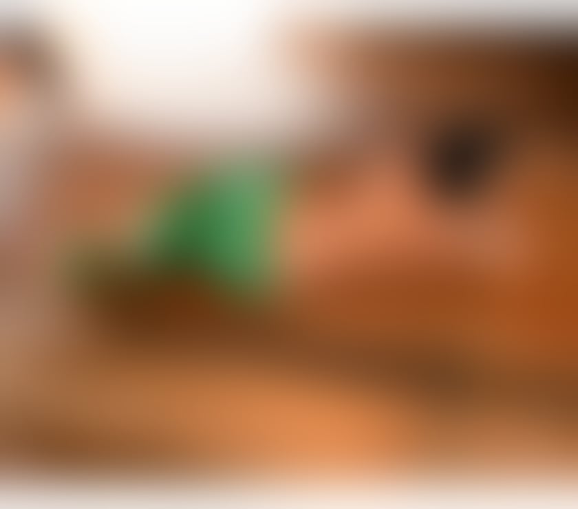 Escorts West Midlands Birmingham - Photos for NATALIA MILLANO 💕BRAZILIAN GIRLFRIEND HIGH CLASS GIRL