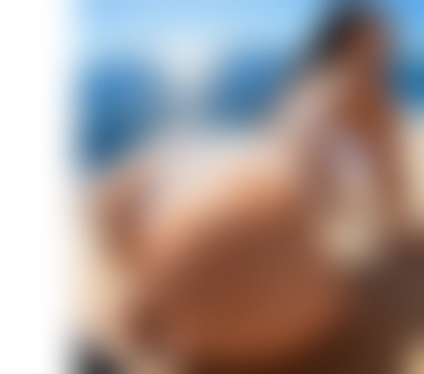 Escorts Harlington Hillingdon - Photos for NEW IN UK🔥BEST PARTY NOT RUSHED🔥