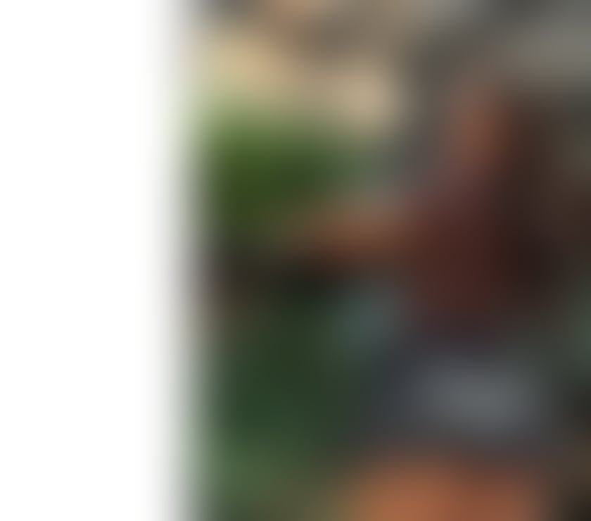 Escorts Hertfordshire St. Albans - Photos for THAMARA 🔥 NEW IN TOWN 💕 GOOD GIRL