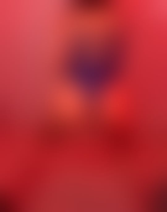 Escorts West Yorkshire Bradford - 