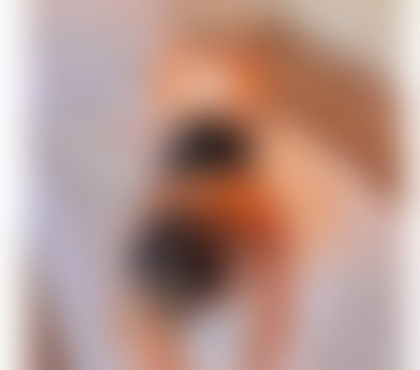 Escorts West Northamptonshire Northampton - West Northamptonshire - Photos for Fernanda Kelly🎀First time here💖