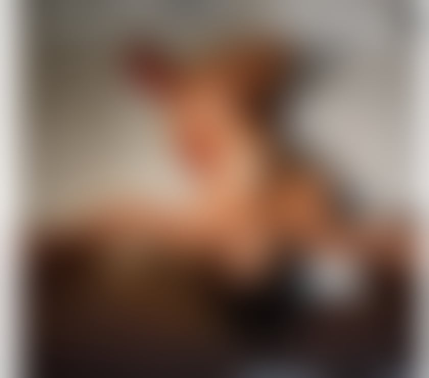 Escorts North London Palmers Green - North London - Photos for Bella 🔥gfe best service 💥 party girl🇧🇷