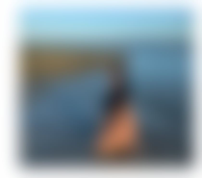 DUDA YOUR ULTIMATE EXPERIENCED🥂PARTY GIRL 24HRS