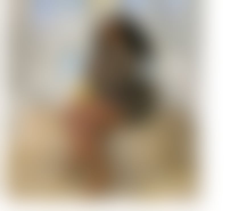 Escorts Sheffield City Centre Sheffield - Photos for African Ebony CandyBae in Sheffield