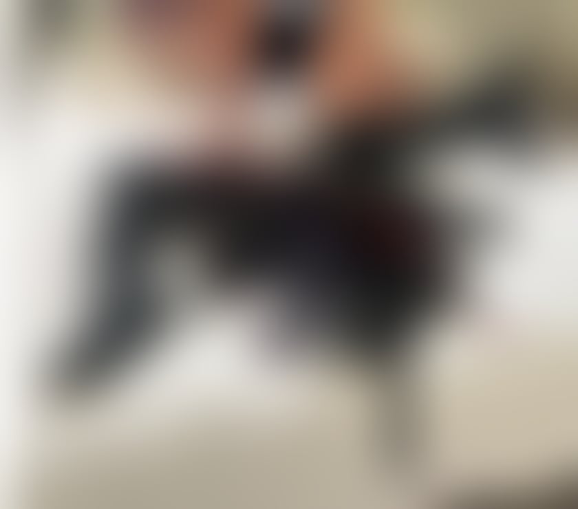 Escorts Perth and Kinross Perth - Perth and Kinross - Photos for Eve😍New African available 24 7😍✅