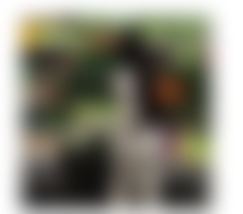 HOT NICOLE 🔥🔥call me now 🔥 ✅ best service💯