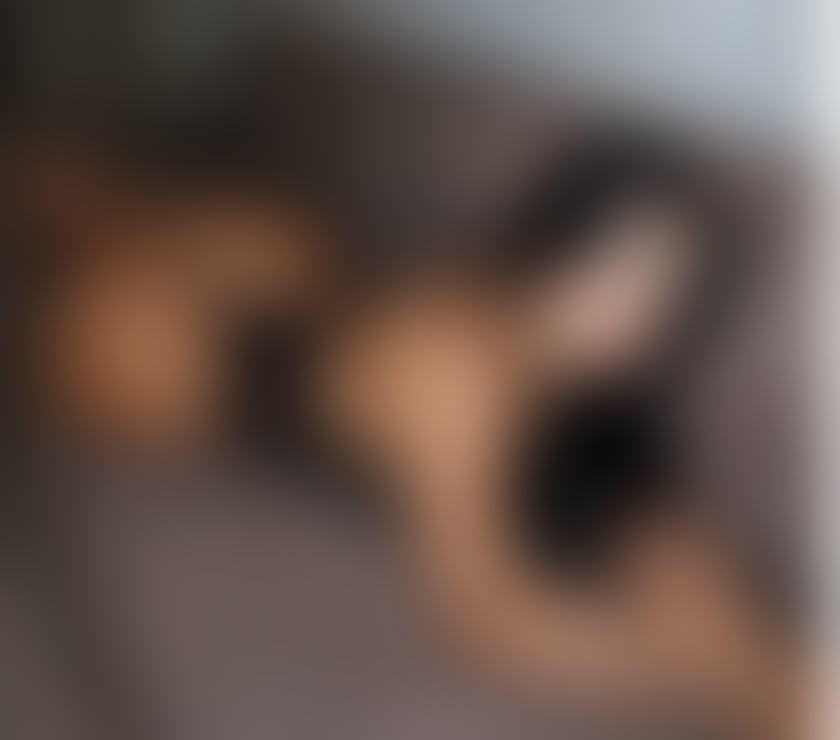 Escorts Hampshire Portsmouth - Photos for DEEA❤️NEW IN CITTY❤️IN-OUT❤️PARTYYY