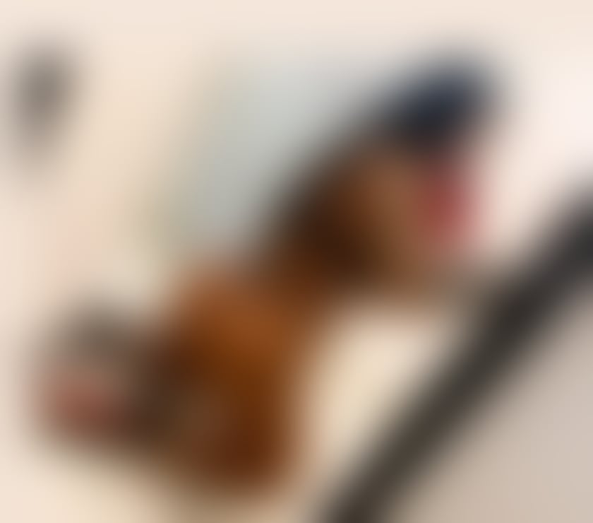 Escorts Derbyshire Chesterfield - Photos for Hello i am Adelle just come in yours town❌