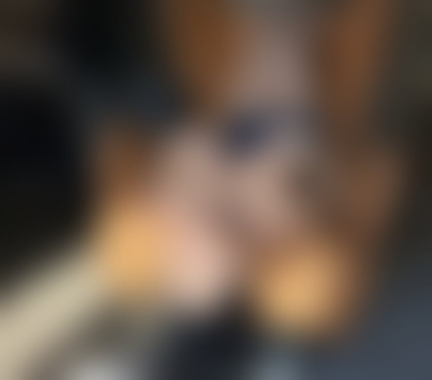 Escorts County Durham Pity Me - County Durham - Photos for Fergie classy&wild&genuine