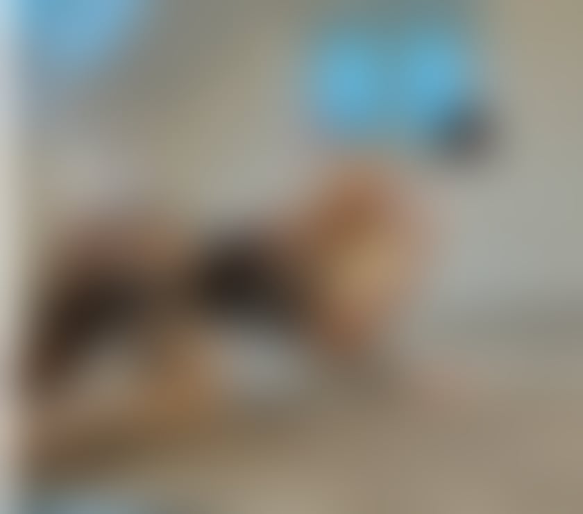 Escorts South Yorkshire Doncaster - Photos for 🔥PARTY GIRL NELLI🔥ONLY OUTCALL OR VIDEO CALL🔥