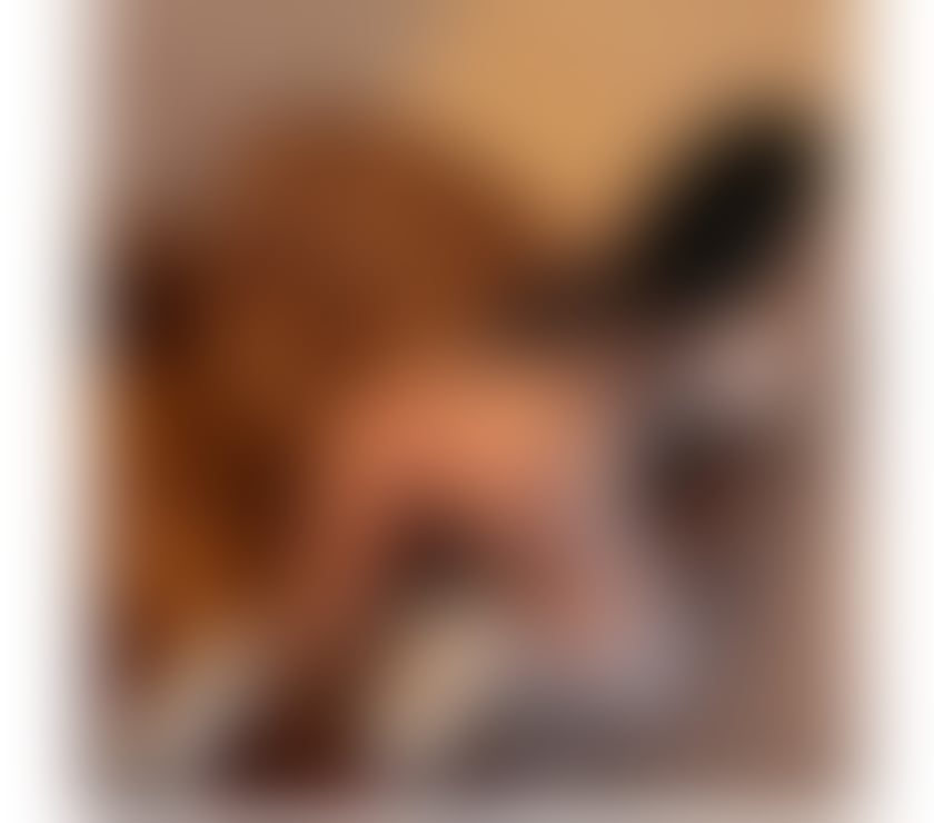 KARLA🌸🌸HOT PARTY GIRL☎️☎️INCALL&OUTCALL