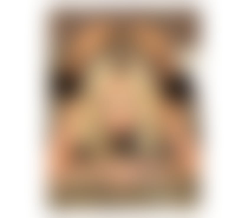 I’m Bella, your dream Aussie blonde busty