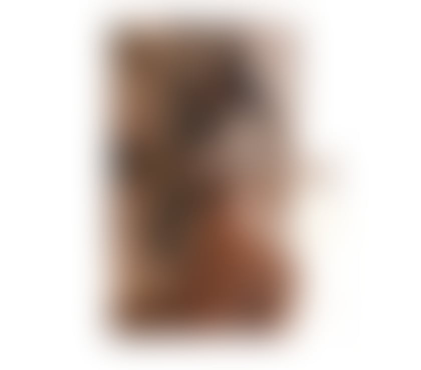 Escorts Bedfordshire Luton - Photos for Party 24 hs 🇧🇷