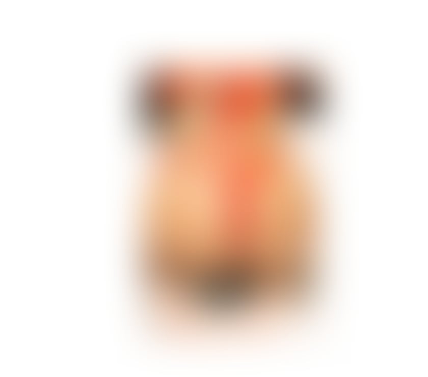 Escorts Leicestershire Leicester - Photos for LADYBOY Perola Hot Party