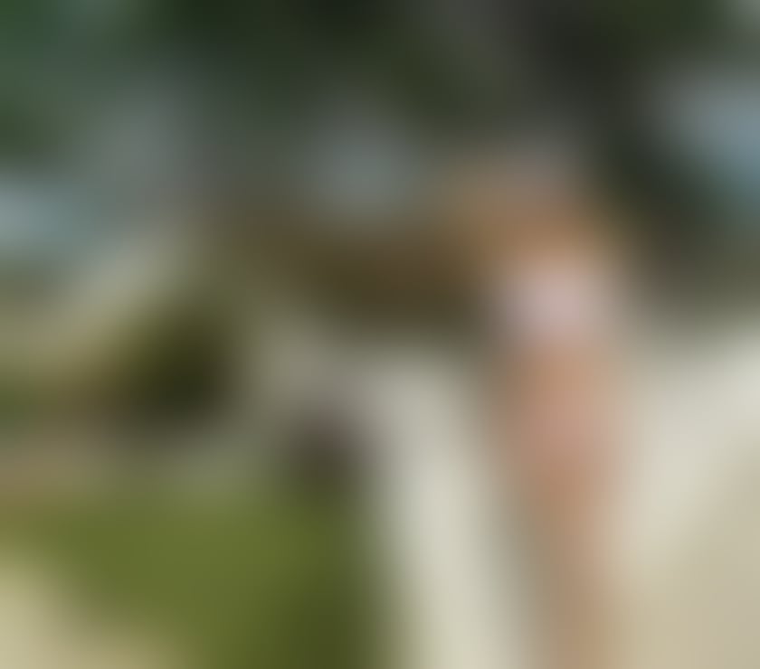 Trans Escorts Merseyside Liverpool - Photos for Transgender for just a few days in Liverpool. Real photos. Y