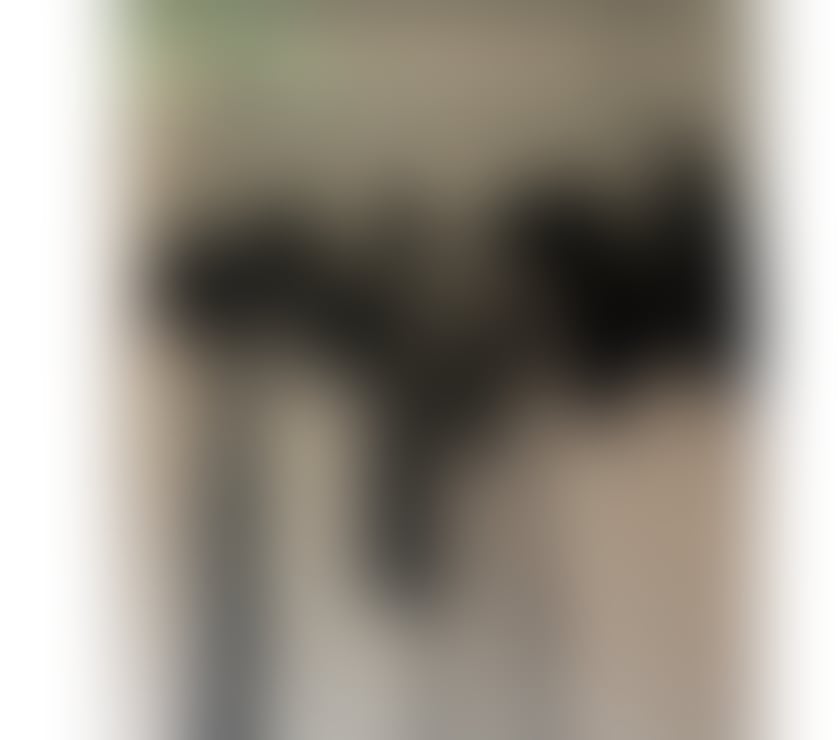 Trans Escorts West Midlands Birmingham - Photos for TS queen of domination😈🔥🖤