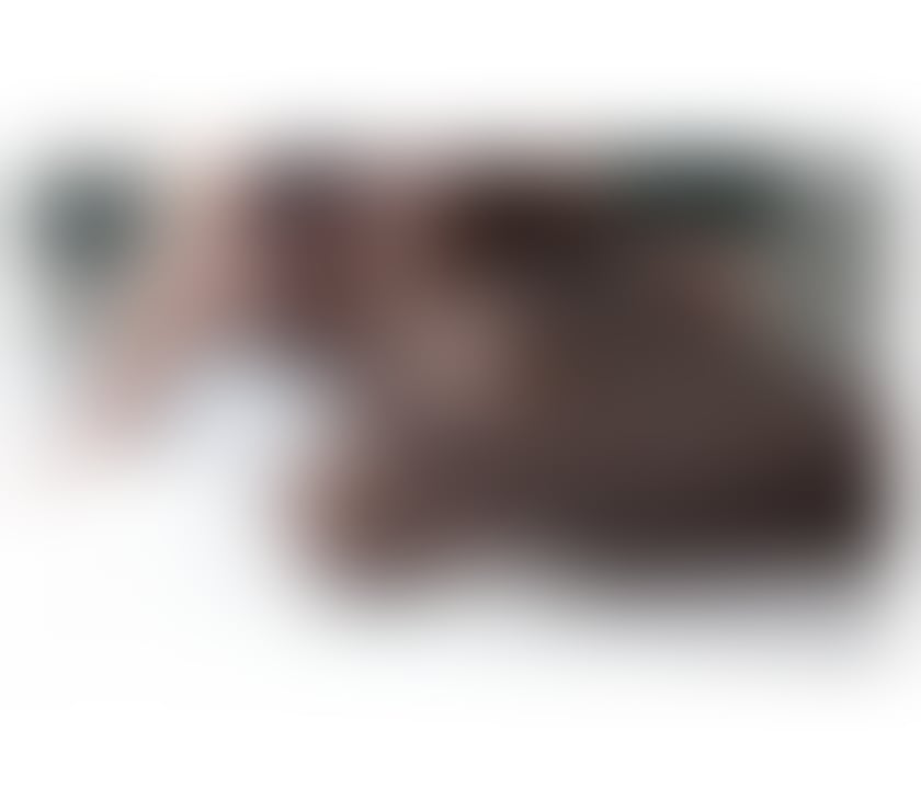 Escorts North London Enfield - Photos for Elegant meeting.☎️🔞Barbara