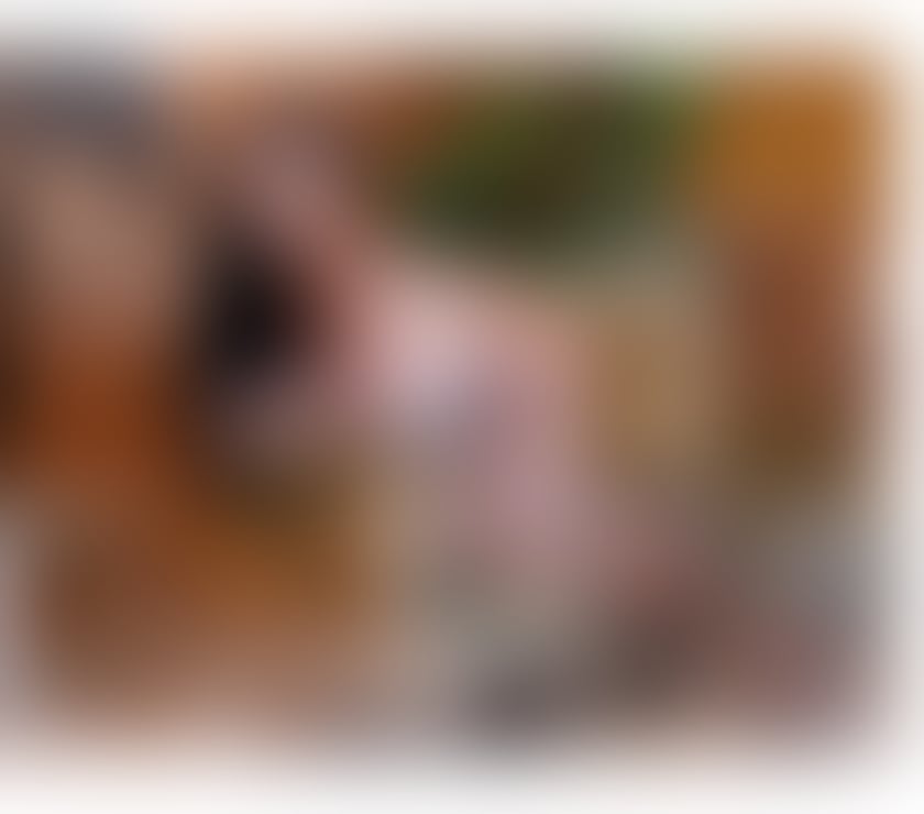 Trans Escorts Bracknell Forest Bracknell - Bracknell Forest - Photos for Grazyellen 🔥 Top 🍆 Bottom 🍑