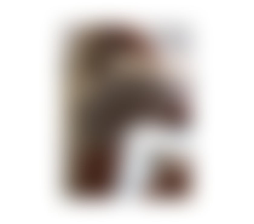 Escorts Cambridgeshire Huntingdonshire - Photos for Andree full service