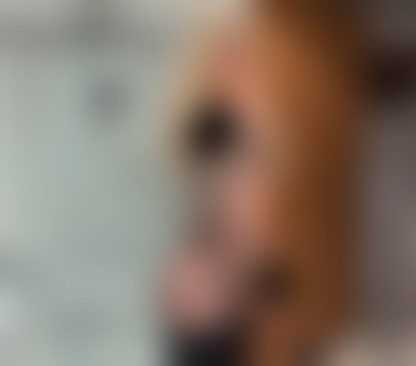 Trans Escorts East London Canary Wharf Station - East London - Photos for Isabella Dom Girl XL 🔥🫦