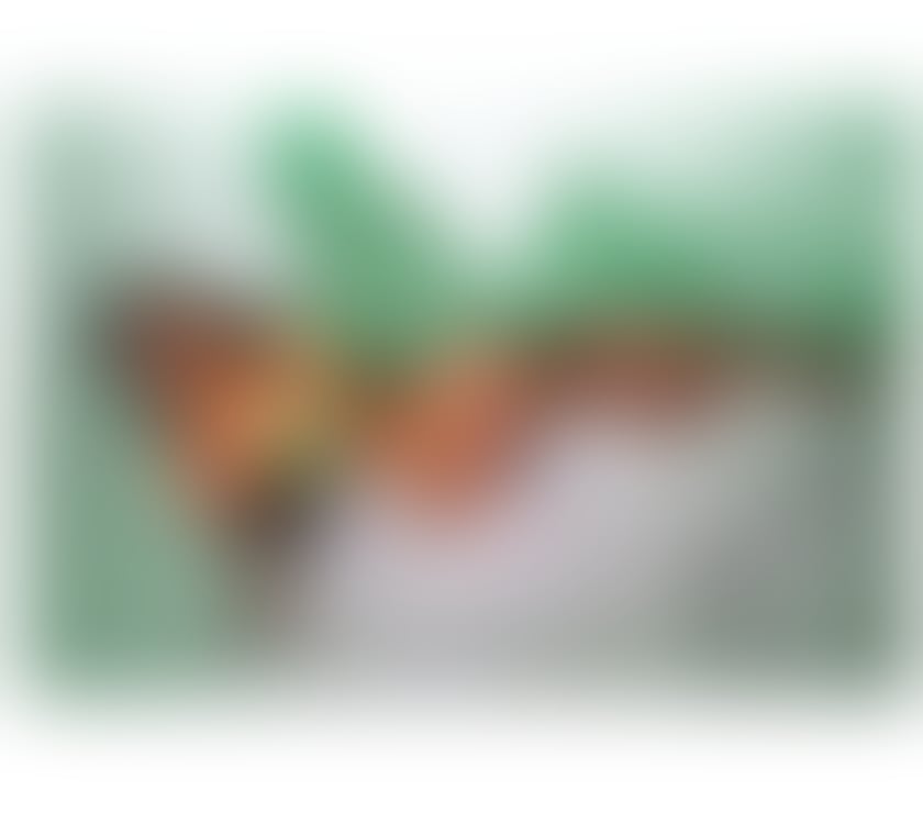 Escorts and Massages Castlefield Manchester - Photos for Isa I’m back guys x