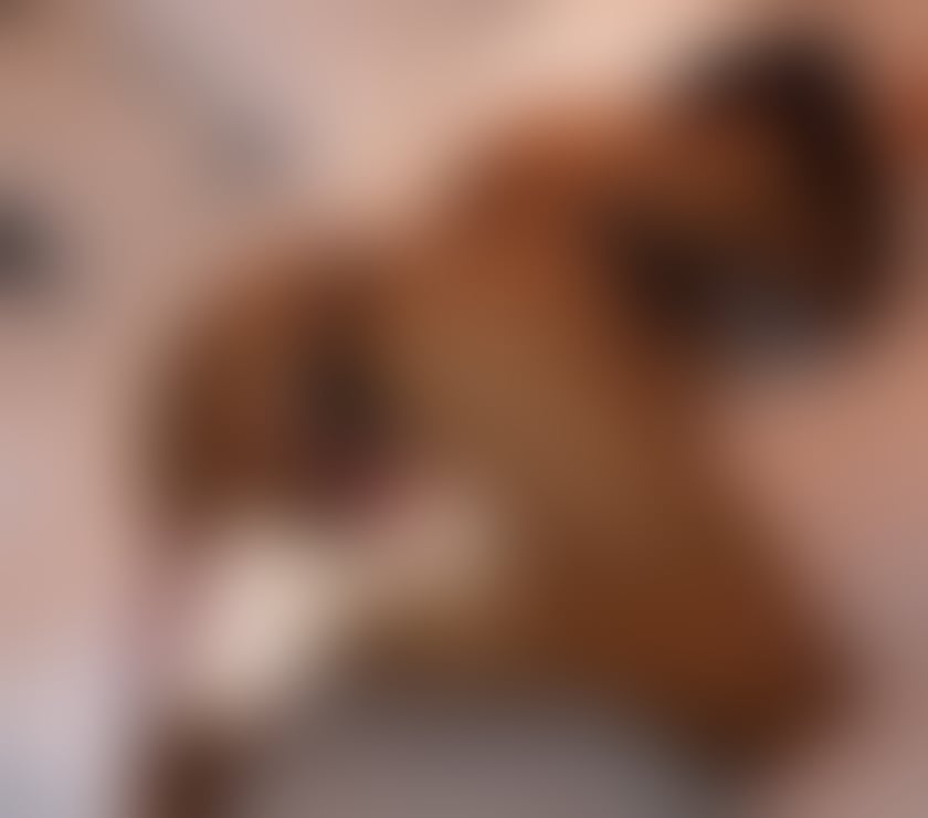 Escorts Buckinghamshire High Wycombe - Buckinghamshire - Photos for LOVE PARTY GIrl sloppy BJ , ,Strapon 🍆⛓️mistress