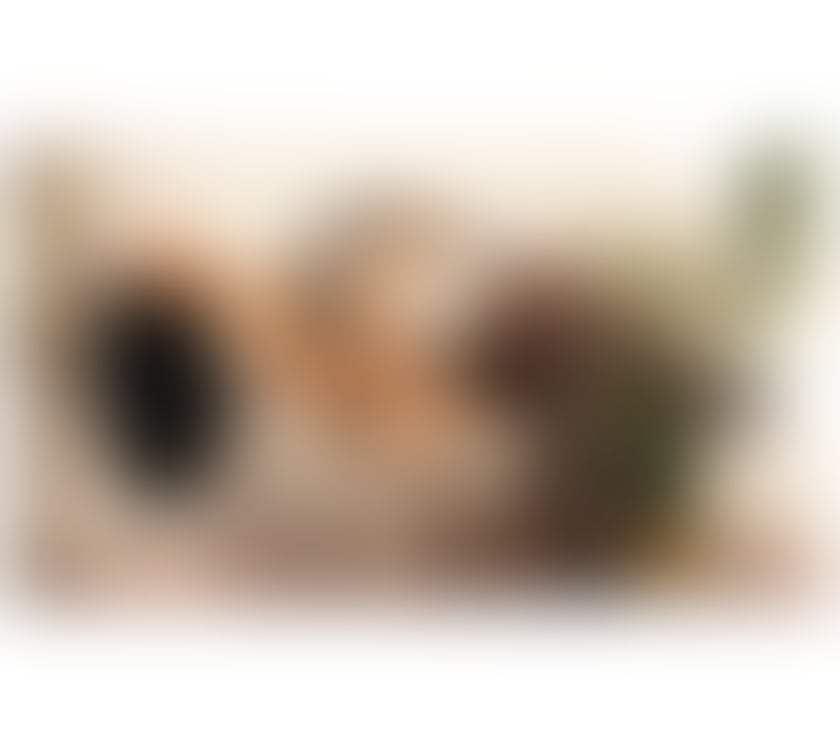 Escorts South East London Greenwich - South East London - Photos for Discreet Sophistication and a Memorable Companion