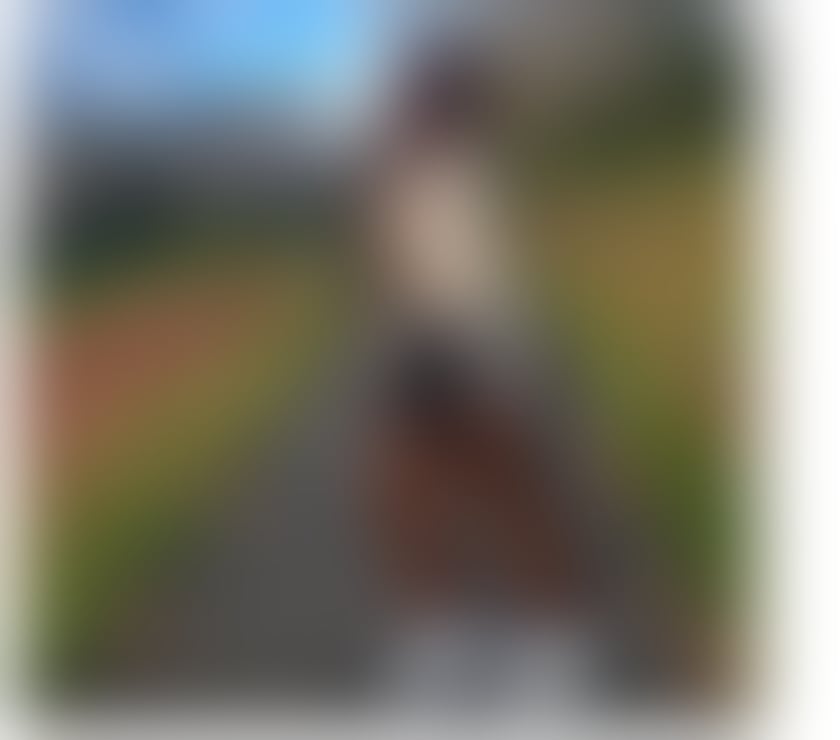 Trans Escorts South West London Earls Court - South West London - Photos for AGATHA HOT EBONY XL IN THE CITY!!