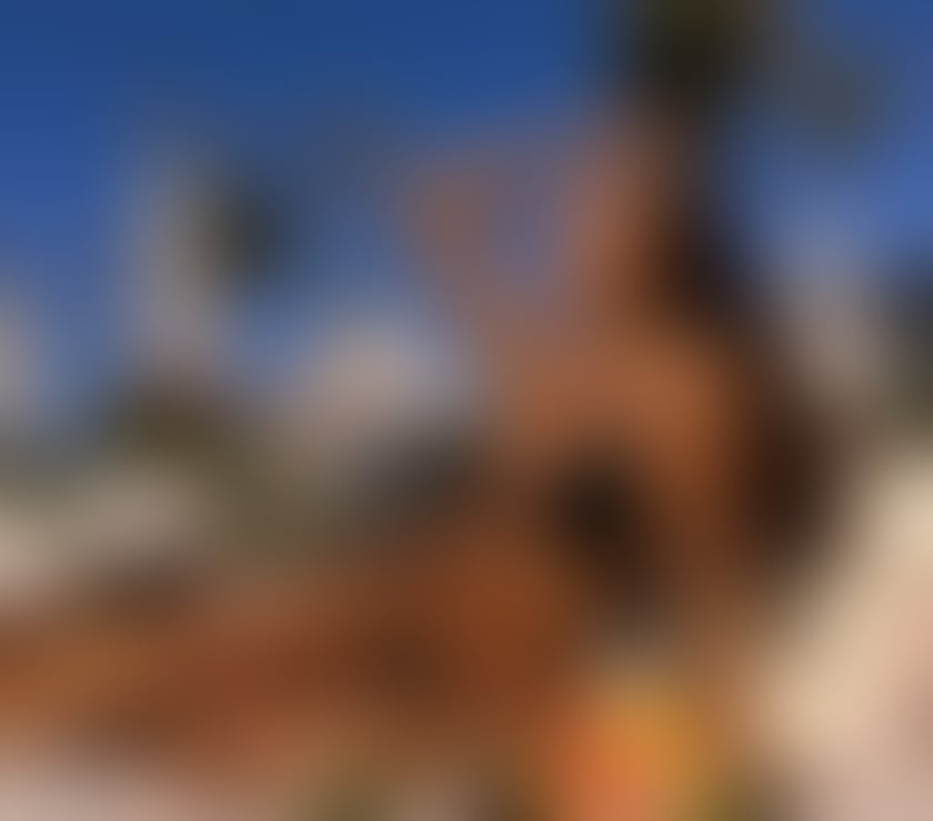 Escorts Glasgow Glasgow City Centre - Glasgow - Photos for Julia Brazilian 🇧🇷 party girl🍑🥂