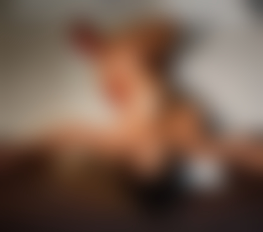 Escorts North London Enfield - Photos for 😈NAUGHTY GIRL😈READY TO PARTY🇧🇷