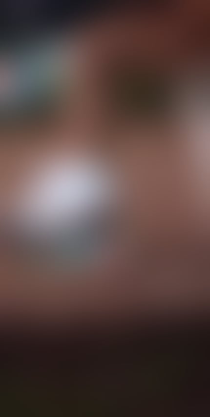 Escorts Norfolk Norwich - 