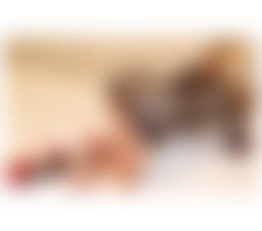 Escorts North West London Harrow - Photos for 07986985842 Expertise in keep you dreaming