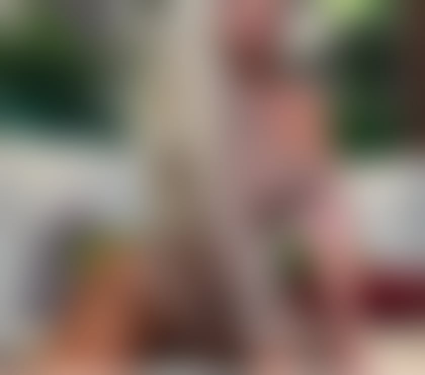 Escorts West Yorkshire Leeds - Photos for Alya party 🥳girl blond 😋