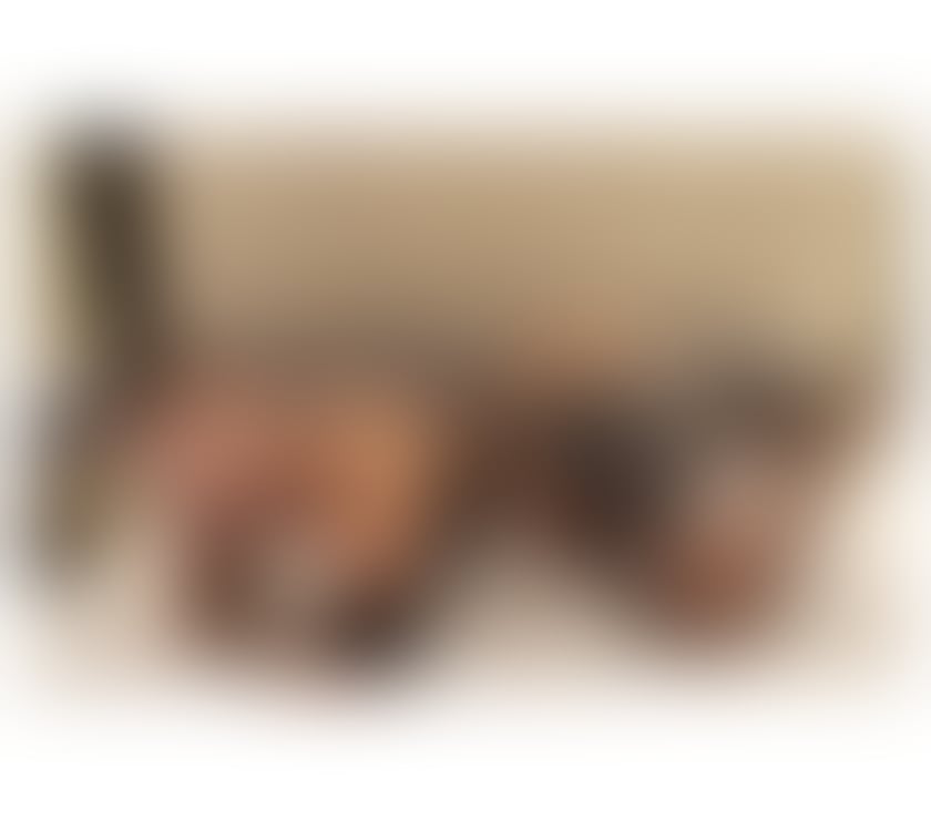 Escorts and Massages Belfast City Centre (South) Belfast - Photos for REBECA ☎️PARTY GIRL NEW NEW ☎️OUTCAL OUTCAL