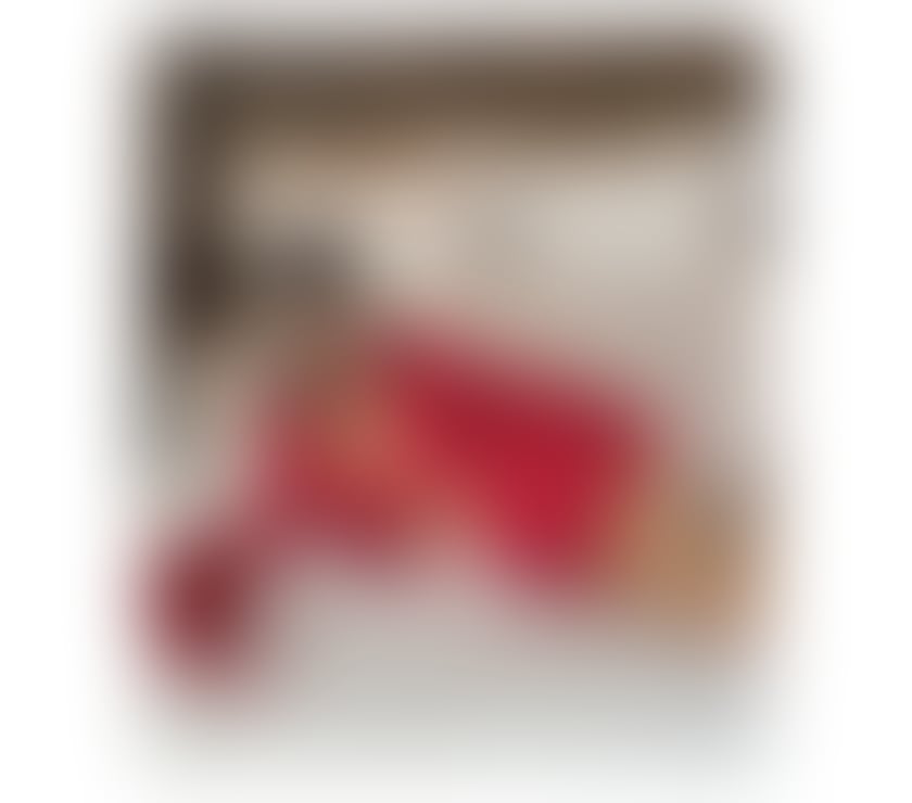 New party girl full service