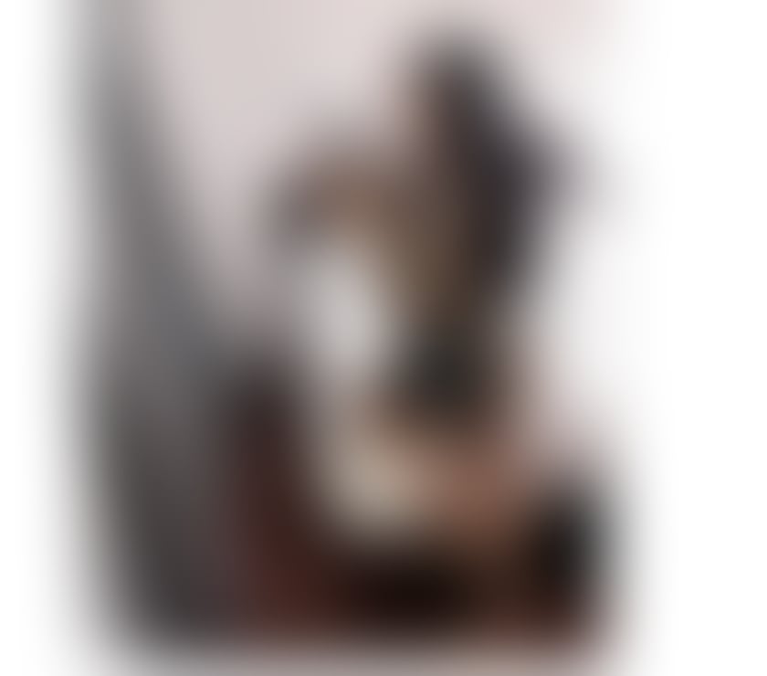 Escorts Belfast Belfast City Centre (South) - Belfast - Photos for Sophia New In City Real Picture💯