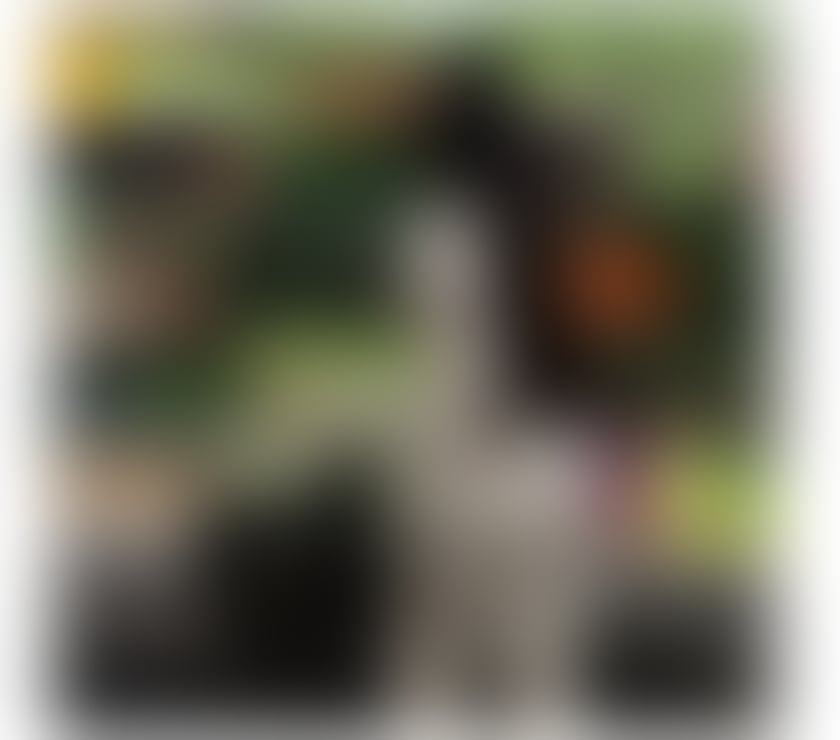 NICOLE PARTY GIRL 🍾🔥 call me now 🔥 ✅